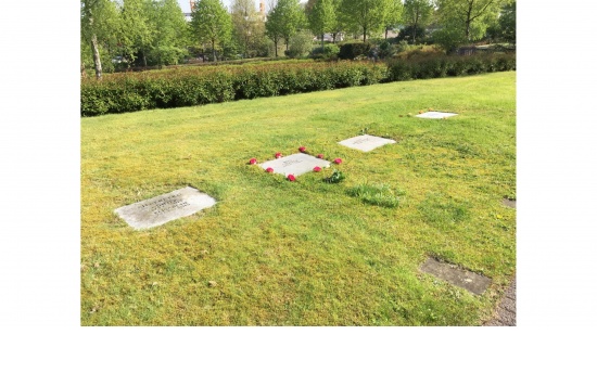 städt. Waldfriedhof Haan - pflegefreie Rasengräber  