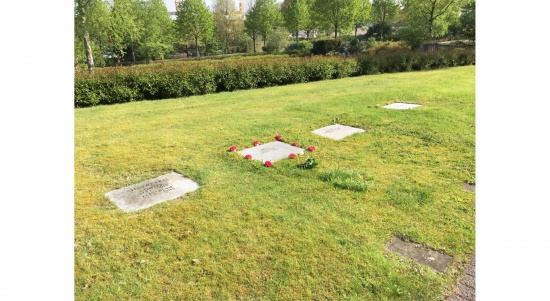 städt. Waldfriedhof Haan - pflegefreie Rasengräber  