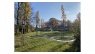 städt. Waldfriedhof Haan - pflegefreie Partner-Baumgräber