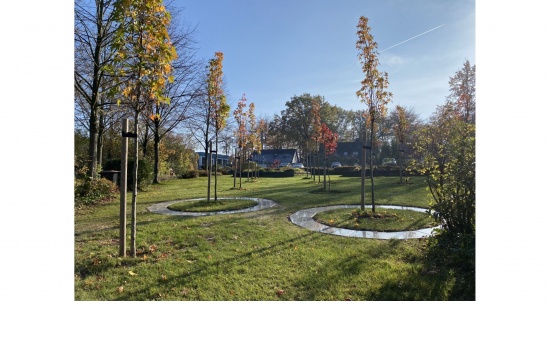 städt. Waldfriedhof Haan - pflegefreie Partner-Baumgräber  