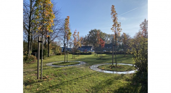 städt. Waldfriedhof Haan - pflegefreie Partner-Baumgräber  