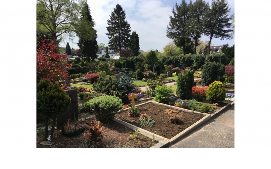 ev. Friedhof Haan - selbst zu pflegende Gräber  