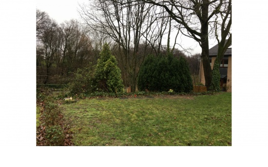 kath. Friedhof Haan - Rasengräber  