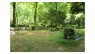 städt. Waldfriedhof Haan -  selbst zu pflegende Gräber