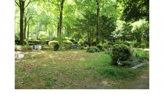 städt. Waldfriedhof Haan -  selbst zu pflegende Gräber  
