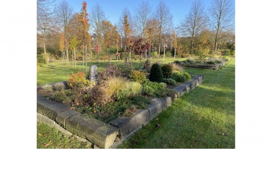 städt. Waldfriedhof Haan - Hochbeet  