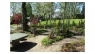 kath. Friedhof Haan - Bestattungsgarten
